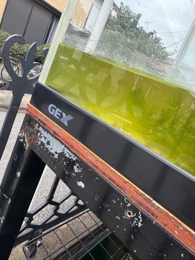 GEX ガラス水槽900×450×450 90cm水槽 大型魚熱帯魚金魚メダカ錦鯉亀
