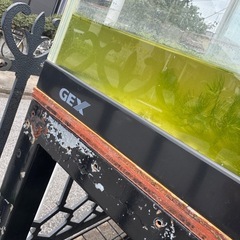 GEX ガラス水槽900×450×450 90cm水槽 大型魚熱帯魚金魚メダカ錦鯉亀の画像