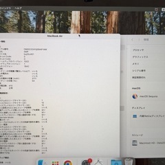 【美品】MacBook Air 2020 13インチ 充放電54回 ケース・フィルム付の画像