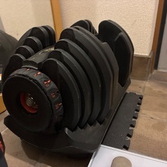 ダンベル40キロ✖️2の画像