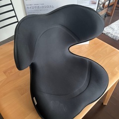 Style SMARTカイロサポートの画像