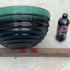 睡蓮鉢とメダカと水草とお掃除係のヌマエビの画像