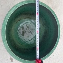睡蓮鉢とメダカと水草とお掃除係のヌマエビの画像