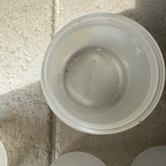 【クワガタ飼育用】菌糸ボトル　使用済19本セット（おまけ4本付）の画像