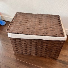 布付き カゴ 決まりましたの画像
