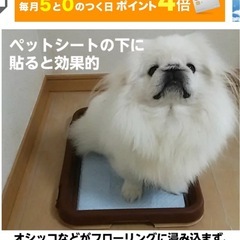 ペット【フローリング保護シート】の画像