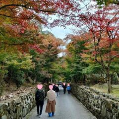 🌿京都 宇治ハイキングコン in 関西 軽登山 🍃恋活 /…