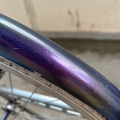 シャコタンチャリの画像