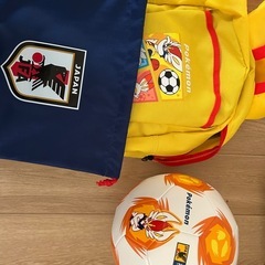 ポケモンぬいぐるみ！サッカーセットの画像