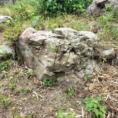 庭石無料で差し上げます！の画像