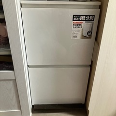 ワイド分別ペダルペール2段 40Lの画像