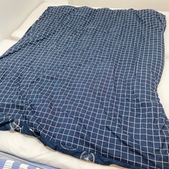 あげます　タダ　ニトリ　ダブル　掛け布団　シーツ付　0円　無料の画像