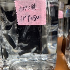 めだか　鱗緑メダカ営業してます
の画像