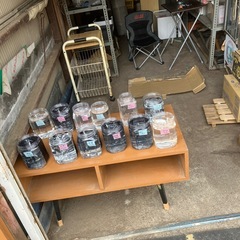 めだか　鱗緑メダカ営業してます
の画像