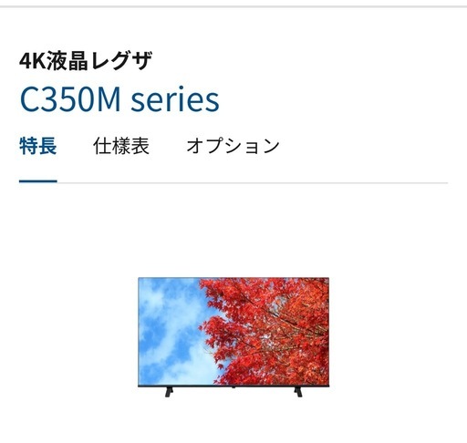 【本日のみ値下げ】REGZA 65型4K液晶TV