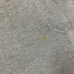 ホットカーペットの画像