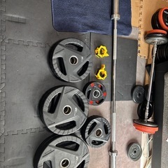 fieldoorラバープレート15kg*2(30kg)50mmの画像