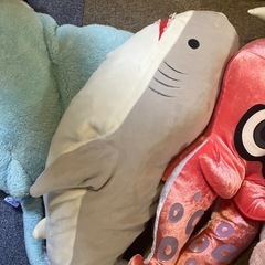 ぬいぐるみの画像