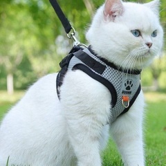 猫のハーネス　災害時避難用にも必須！　ベストのみの画像