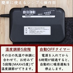 【美品】ホットカーペットの画像
