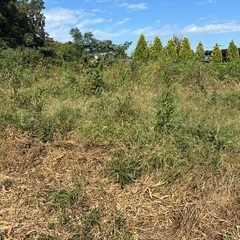 草刈りをお願いいたします