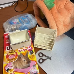 餌付きうさぎ飼育セットの画像