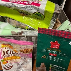 餌付きうさぎ飼育セットの画像