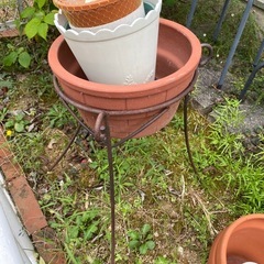 植木鉢いろいろ　ガーデニングの画像
