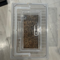 虫かごの画像