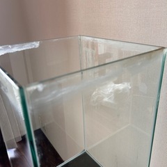 【9/23限定】ガラス水槽　ハイタイプ専用台付きの画像
