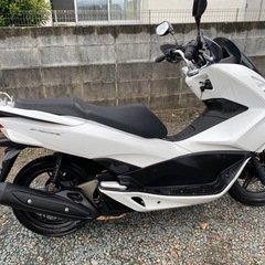 pcxJF56 ディラー車　😊の画像