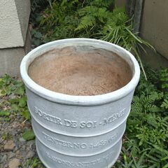 植木鉢 30cm位の画像