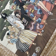 ワンピース　エコカラット　非売品の画像