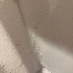スチームドレッサーの画像