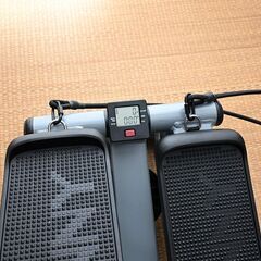 Sunny Health & Fitness(サニー ヘルス&フィットネス) ミニステッパーの画像