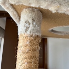 キャットタワーの画像