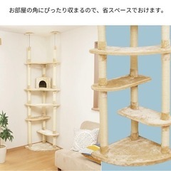 キャットタワーの画像