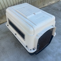 バリケンネルP300 の画像