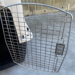 バリケンネルP300 の画像