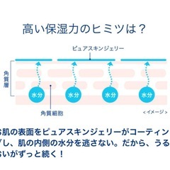 ヴァセリンアドバイス　2本シャワーヘッド2本オマケの画像