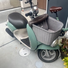 ヤマハ　ビーノモルフェ　YAMAHA ノーマル車の画像