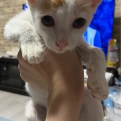 生後2〜3ヶ月 男の子