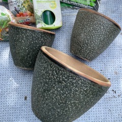 園芸セットの画像
