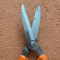 伸縮性剪定はさみ おまけノコギリ付きの画像