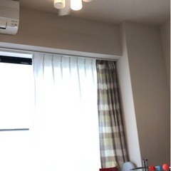 シーリーグ　ファンライトの画像