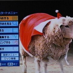 東芝 VARDIA DVDレコーダー (2番組録画)の画像