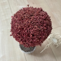 22点セットの画像