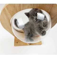 未使用キャットカプセルの画像