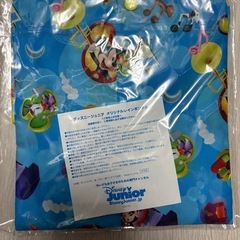 ディズニー ポーチ リュック ポンチョ  トートバッグ まとめ売りの画像