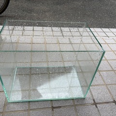 ガラス水槽の画像